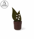 Pot de Muguet au Chocolat Noir 68 % | Delaveaux Chocolatier