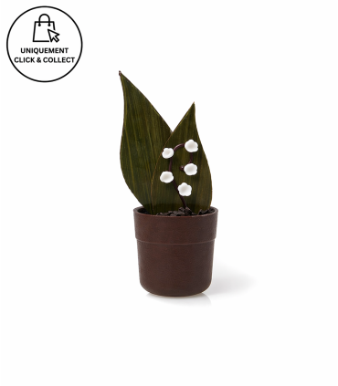 Pot de Muguet au Chocolat Noir 68 % | Delaveaux Chocolatier